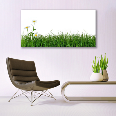 Image sur verre Tableau Herbe nature vert