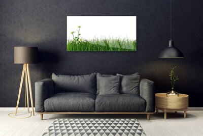 Image sur verre Tableau Herbe nature vert