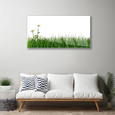 Image sur verre Tableau Herbe nature vert