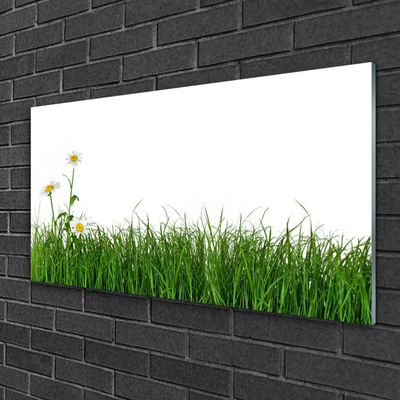 Image sur verre Tableau Herbe nature vert