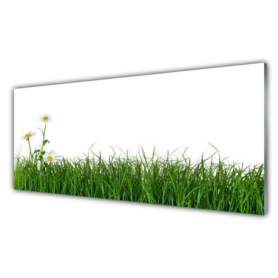 Image sur verre Tableau Herbe nature vert