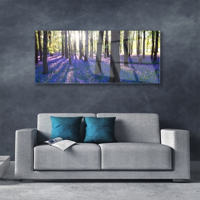 Image sur verre Tableau Forêt nature brun violet
