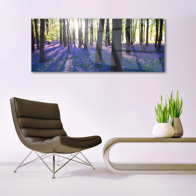 Image sur verre Tableau Forêt nature brun violet