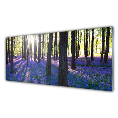 Image sur verre Tableau Forêt nature brun violet