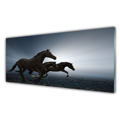 Image sur verre Tableau Chevaux animaux brun