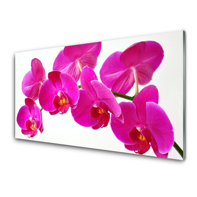 Image sur verre Tableau Fleurs floral rouge