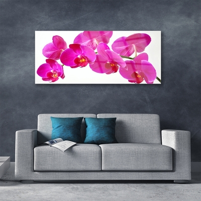 Image sur verre Tableau Fleurs floral rouge