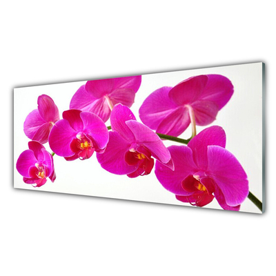 Image sur verre Tableau Fleurs floral rouge