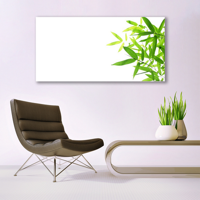Image sur verre Tableau Feuilles floral vert