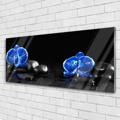 Image sur verre Tableau Fleurs pierres floral bleu noir