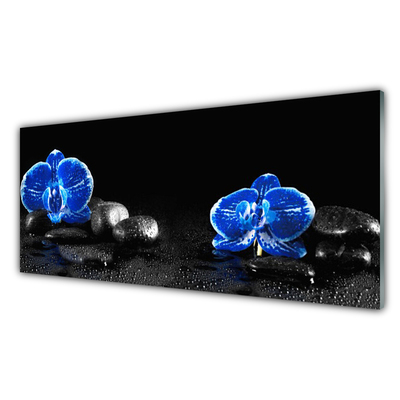 Image sur verre Tableau Fleurs pierres floral bleu noir