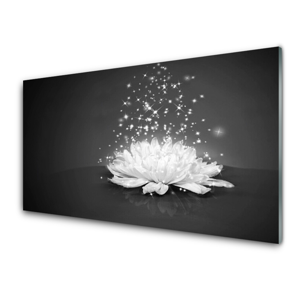 Fleurs et Plantes Blanc Tulup Impression sur Verre 125x50 cm Image Tableau Photo décorative panoramique pour la Cuisine et Le Salon Fleurs De Lotus 