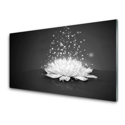 Image sur verre Tableau Fleur floral blanc gris