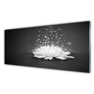 Image sur verre Tableau Fleur floral blanc gris