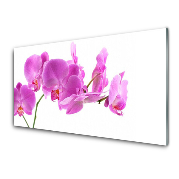 Image sur verre Tableau Fleurs floral rose