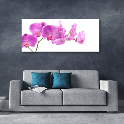 Image sur verre Tableau Fleurs floral rose