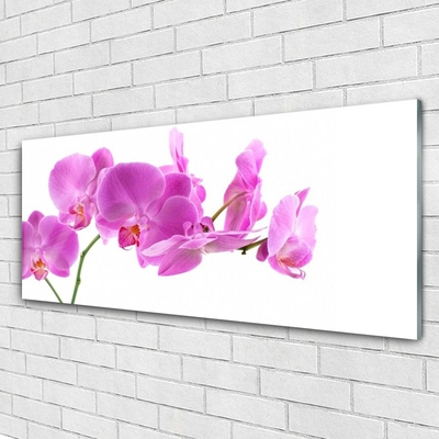 Image sur verre Tableau Fleurs floral rose