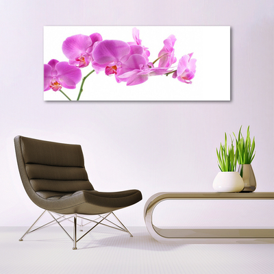 Image sur verre Tableau Fleurs floral rose