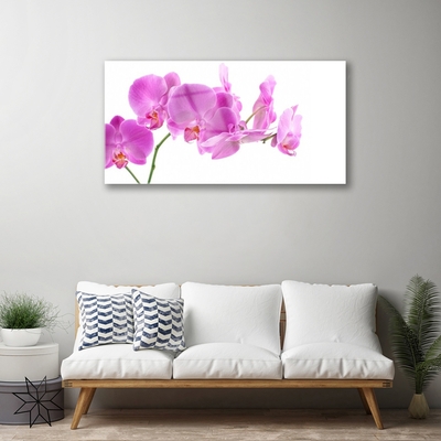 Image sur verre Tableau Fleurs floral rose