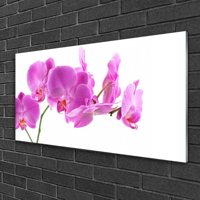 Image sur verre Tableau Fleurs floral rose