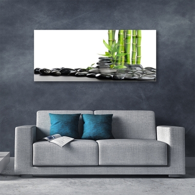 Image sur verre Tableau Bambou pierres art vert noir