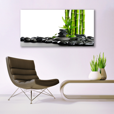 Image sur verre Tableau Bambou pierres art vert noir