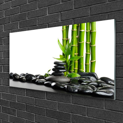 Image sur verre Tableau Bambou pierres art vert noir