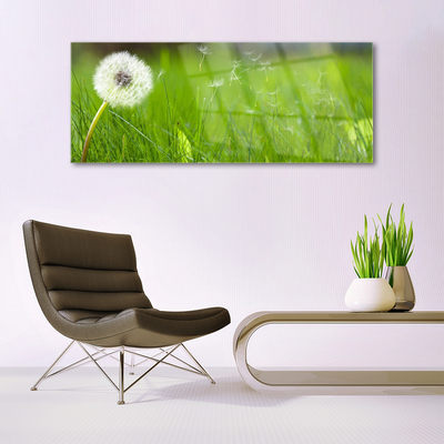 Image sur verre Tableau Pissenlit herbe floral blanc vert