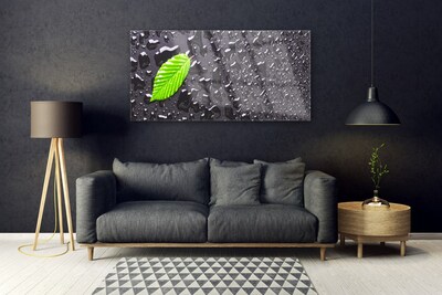 Image sur verre Tableau Feuille art vert gris