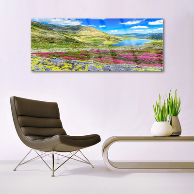 Image sur verre Tableau Montagne baie prairie nature multicolore