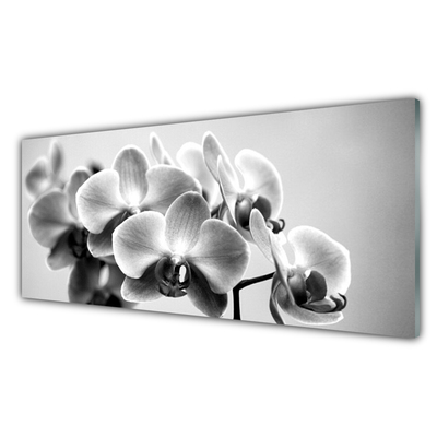 Image sur verre Tableau Fleurs floral gris