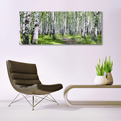 Image sur verre Tableau Forêt sentier nature vert brun blanc noir