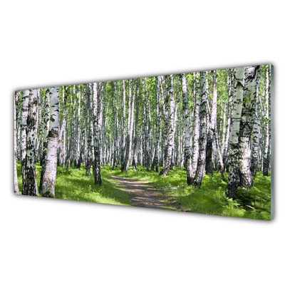 Image sur verre Tableau Forêt sentier nature vert brun blanc noir