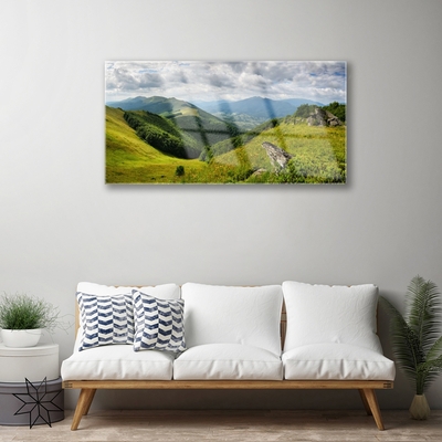 Image sur verre Tableau Montagne prairie paysage vert gris