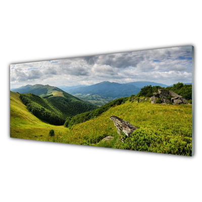 Image sur verre Tableau Montagne prairie paysage vert gris