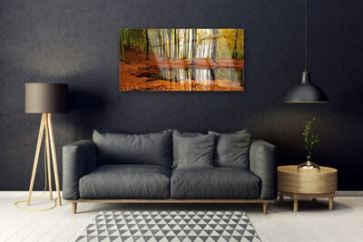 Image sur verre Tableau Forêt nature orange brun vert