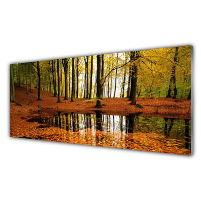 Image sur verre Tableau Forêt nature orange brun vert