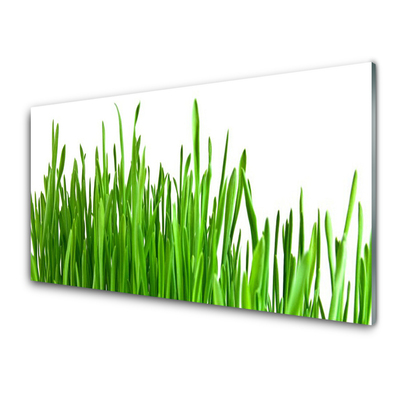 Image sur verre Tableau Herbe floral vert