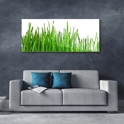 Image sur verre Tableau Herbe floral vert