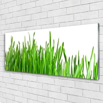 Image sur verre Tableau Herbe floral vert