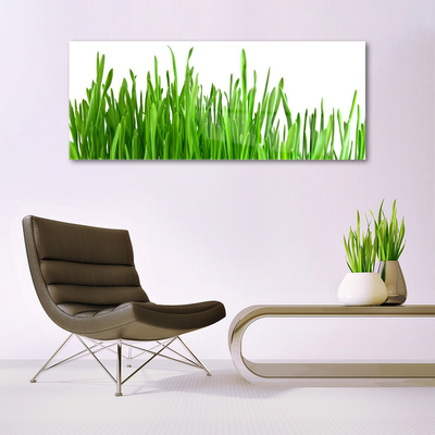 Image sur verre Tableau Herbe floral vert