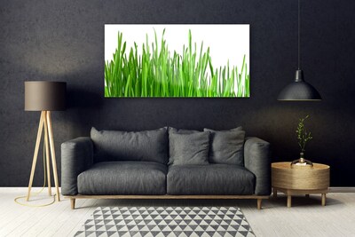 Image sur verre Tableau Herbe floral vert