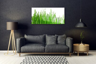 Image sur verre Tableau Herbe floral vert