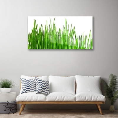 Image sur verre Tableau Herbe floral vert