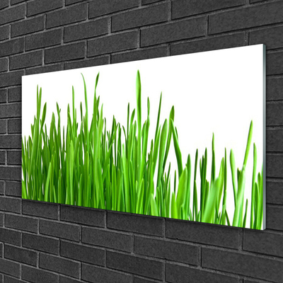 Image sur verre Tableau Herbe floral vert