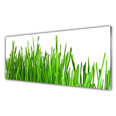 Image sur verre Tableau Herbe floral vert