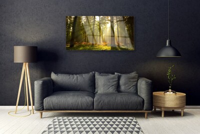 Image sur verre Tableau Forêt nature vert brun