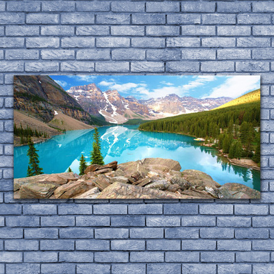 Image sur verre Tableau Montagnes lac forêt nature gris bleu vert