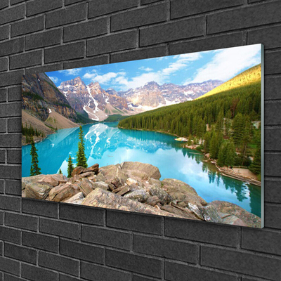 Image sur verre Tableau Montagnes lac forêt nature gris bleu vert