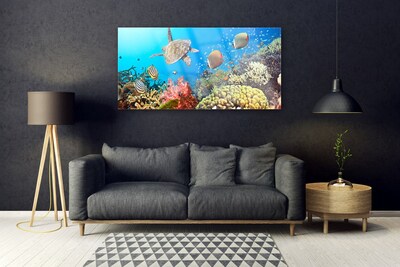 Image sur verre Tableau Récif de corail paysage multicolore